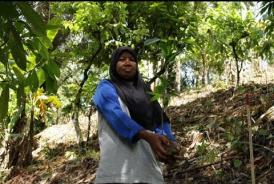 Embedded thumbnail for Luwu Utara Menanam