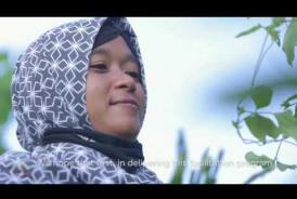 Embedded thumbnail for  Menyemai Harapan Di Tanah Gambut - Subtitle