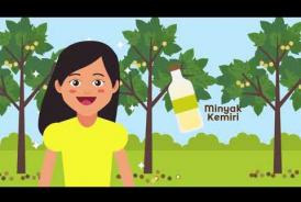 Embedded thumbnail for Video Animasi &amp;quot; Mari Mengenal Hasil Hutan Bukan Kayu&amp;quot;