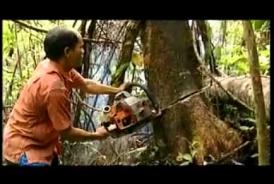 Embedded thumbnail for Karet Busa Raksasa Indonesia