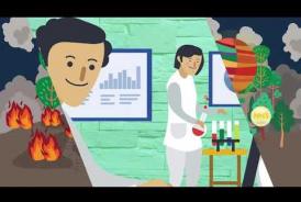 Embedded thumbnail for Animated Video Utilization and Conservation of Peatland in Indonesia 