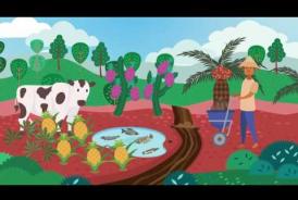 Embedded thumbnail for Video Animasi Pengelolaan dan Pelestarian Gambut di Indonesia