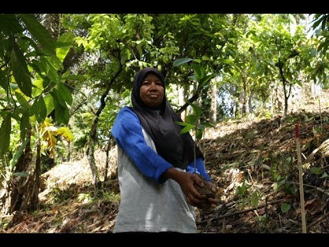 Embedded thumbnail for Luwu Utara Menanam