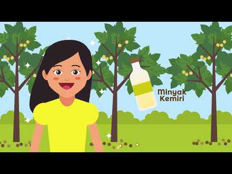 Embedded thumbnail for Video Animasi &amp;quot; Mari Mengenal Hasil Hutan Bukan Kayu&amp;quot;