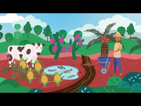 Embedded thumbnail for Video Animasi Pengelolaan dan Pelestarian Gambut di Indonesia